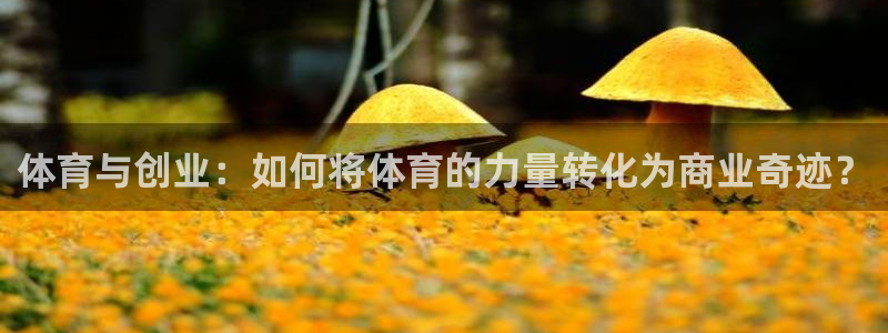 77体育官网