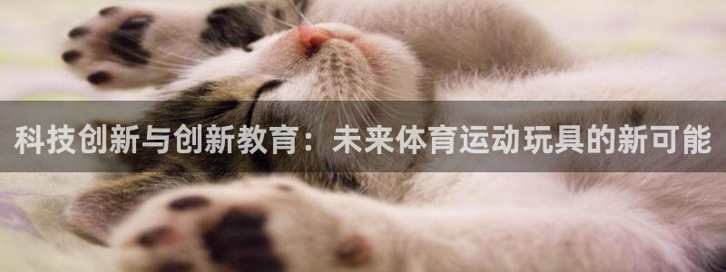 77体育app下载官网