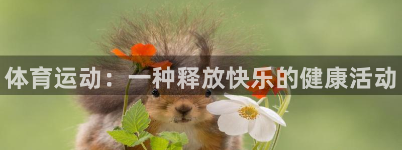 77体育app下载官网：体育运动：一种释放快乐的健康活动