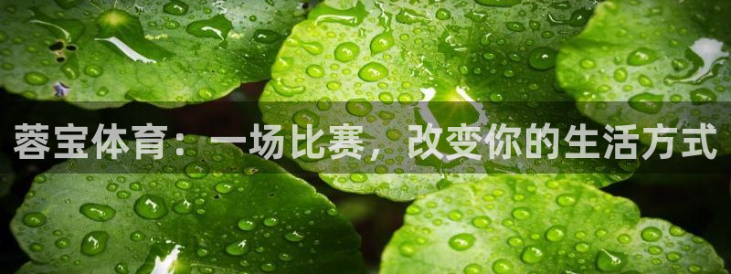 皇冠277体育：蓉宝体育：一场比赛，改变你的生活方式