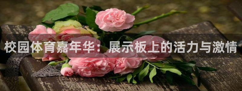 77体育app下载官网