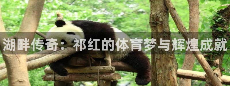 77体育官网：湖畔传奇：祁红的体育梦与辉煌成就