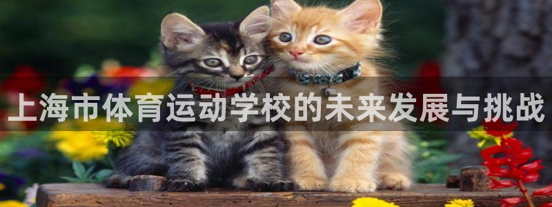 77体育官网：上海市体育运动学校的未来发展与挑战