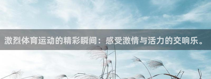 皇冠277体育：激烈体育运动的精彩瞬间：感受激情与活力的交响乐。