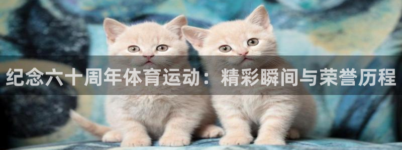 77体育app下载官网：纪念六十周年体育运动：精彩瞬间与荣誉历程