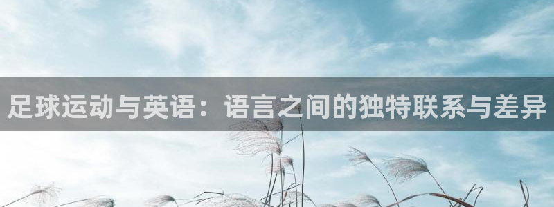 77体育app下载官网：足球运动与英语：语言之间的独特联系与差异